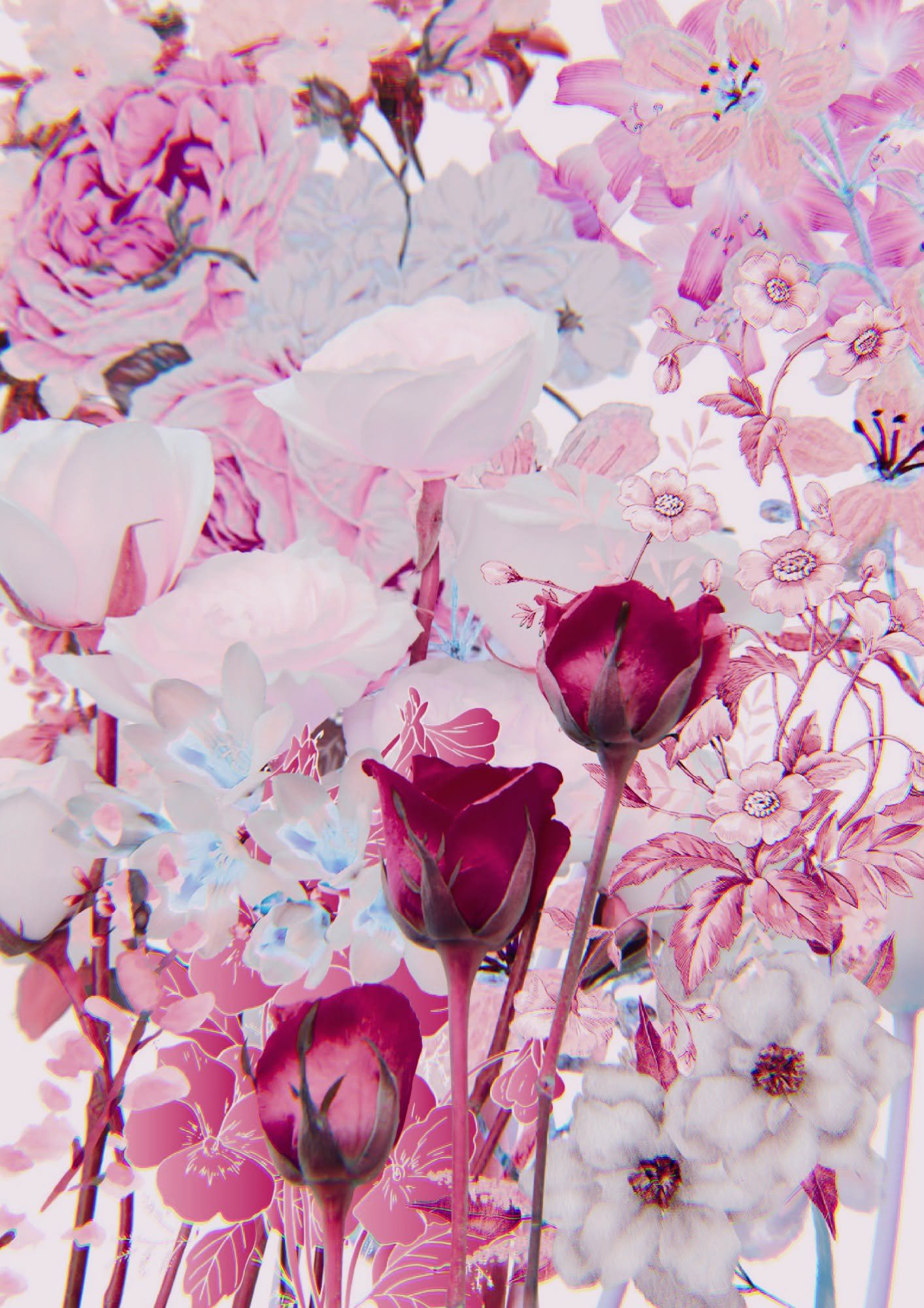 d0843c4d a86c 4ab6 ad35 57f52ed695b8